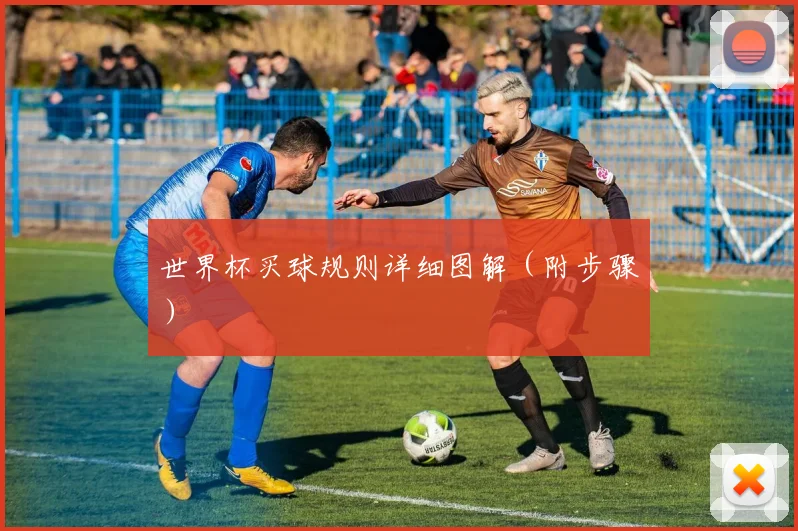 世界杯买球规则详细图解（附步骤）