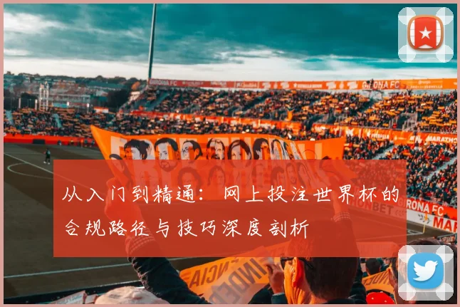 从入门到精通：网上投注世界杯的合规路径与技巧深度剖析