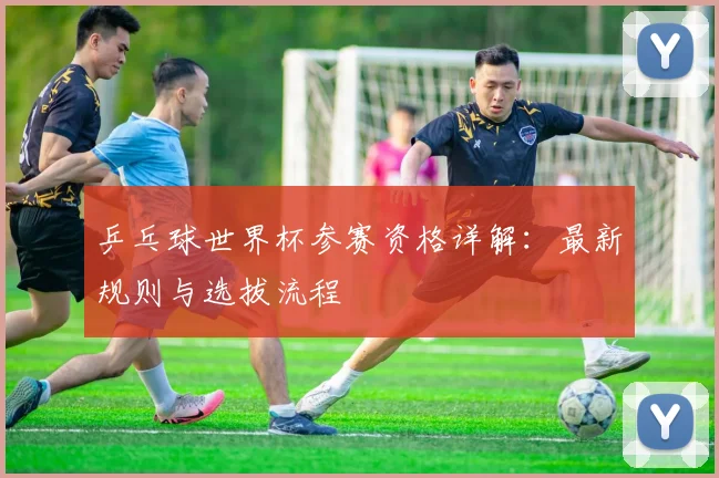 乒乓球世界杯参赛资格详解：最新规则与选拔流程