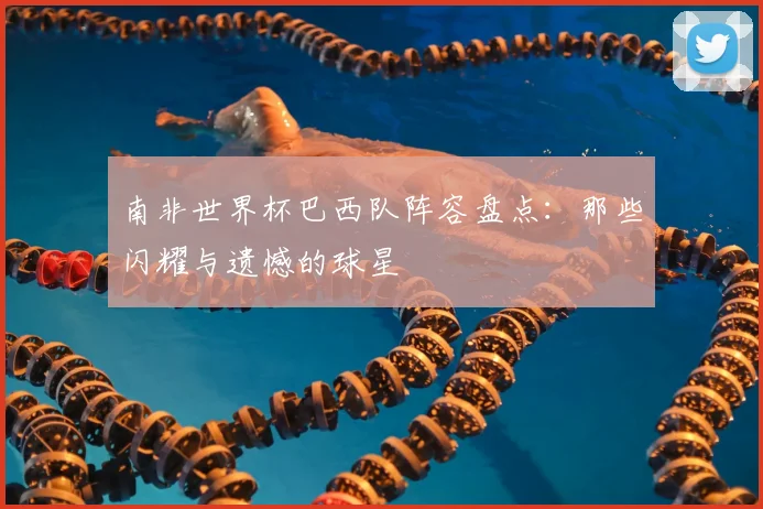 南非世界杯巴西队阵容盘点：那些闪耀与遗憾的球星