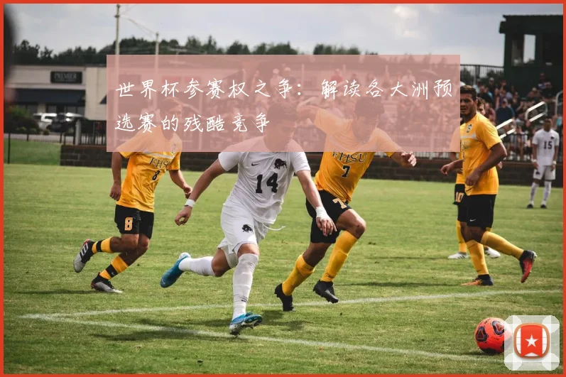 世界杯参赛权之争:解读各大洲预选赛的残酷竞争