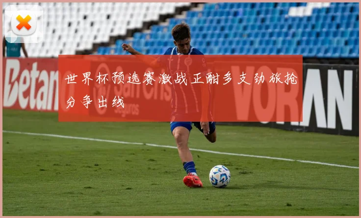 世界杯预选赛激战正酣多支劲旅抢分争出线
