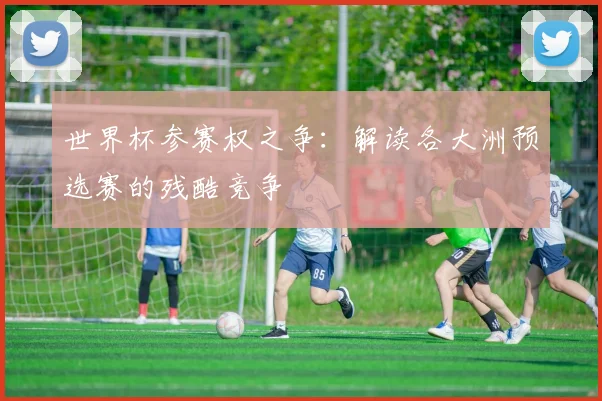 世界杯参赛权之争：解读各大洲预选赛的残酷竞争