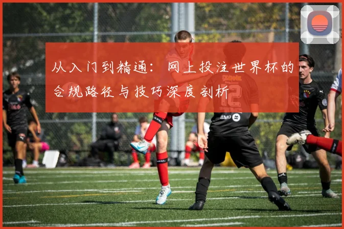从入门到精通：网上投注世界杯的合规路径与技巧深度剖析