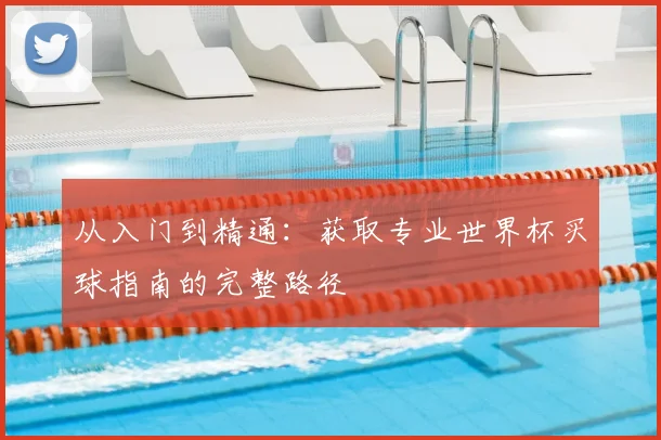 从入门到精通：获取专业世界杯买球指南的完整路径