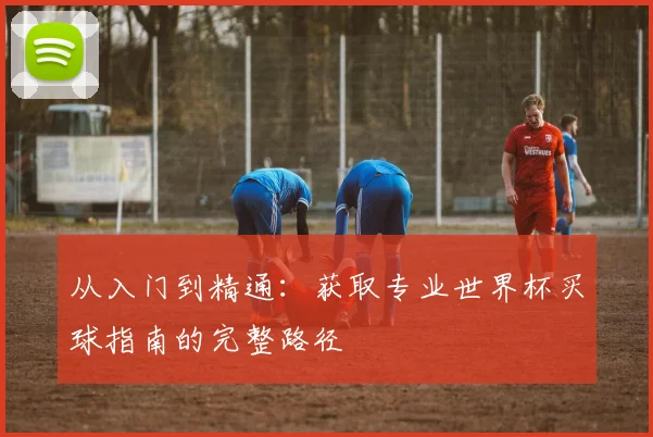 从入门到精通：获取专业世界杯买球指南的完整路径